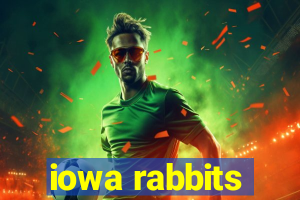 iowa rabbits