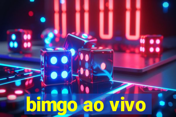 bimgo ao vivo