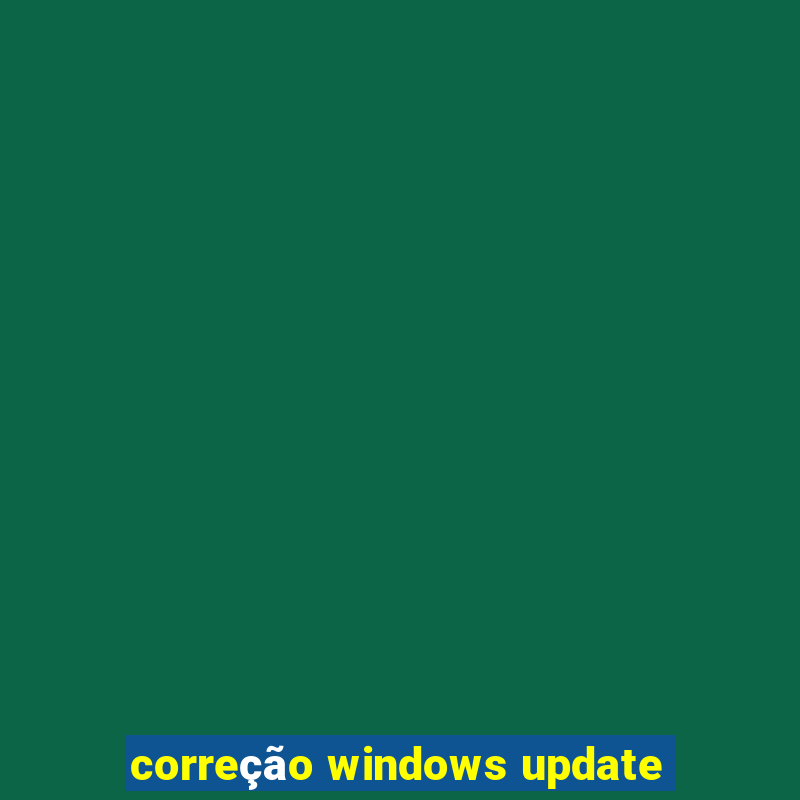 correção windows update