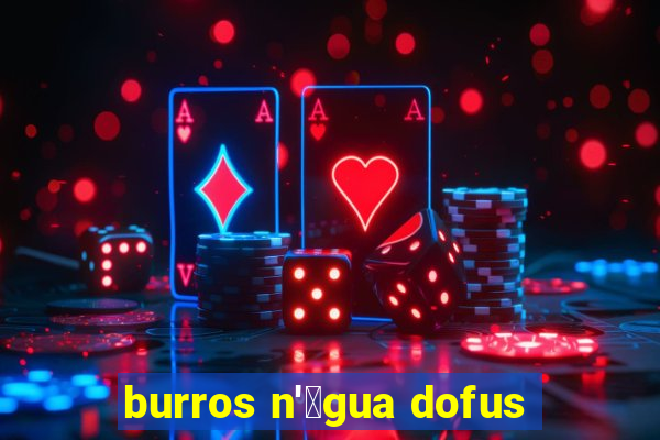 burros n'谩gua dofus