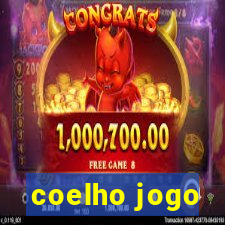 coelho jogo