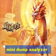 mini dump analyzer