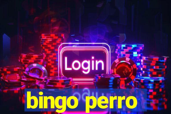 bingo perro