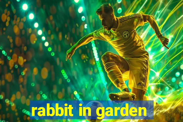 rabbit in garden