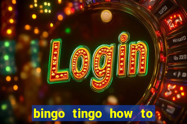 bingo tingo how to use canva