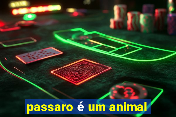 passaro é um animal