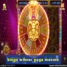 bingo winner paga mesmo