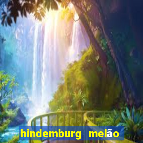 hindemburg melão jr fortuna