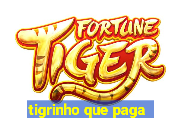 tigrinho que paga