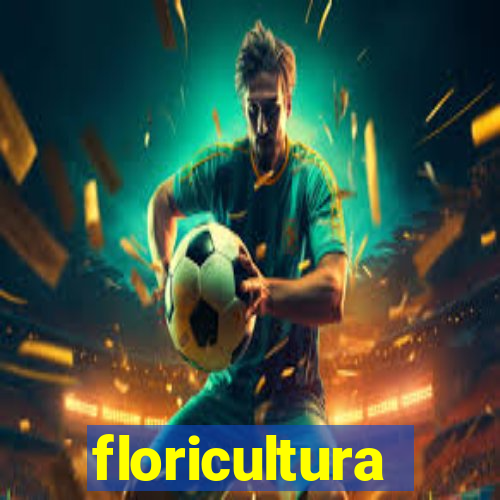 floricultura cruzeiro novo