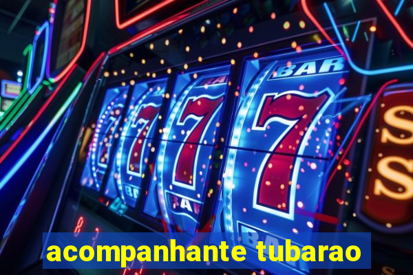 acompanhante tubarao