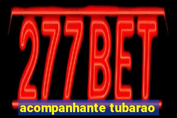 acompanhante tubarao