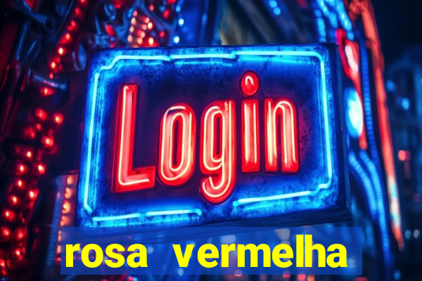 rosa vermelha (letra e cifra)