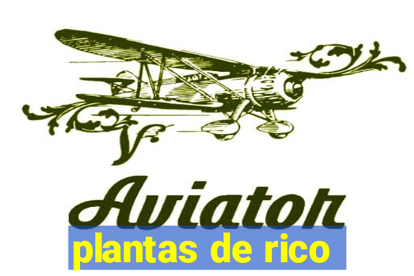 plantas de rico