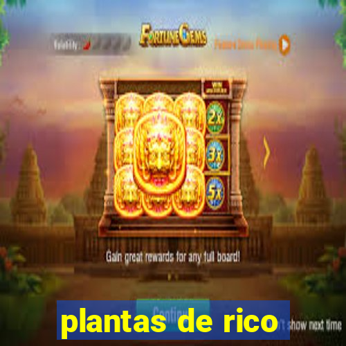 plantas de rico