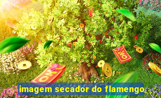 imagem secador do flamengo