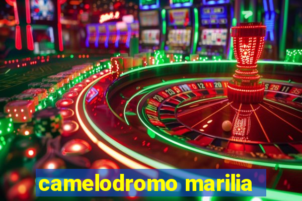 camelodromo marilia