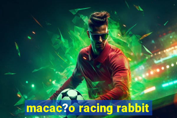 macac?o racing rabbit