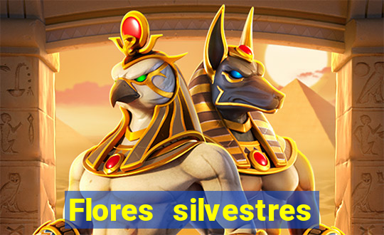 Flores silvestres brasileiras 25