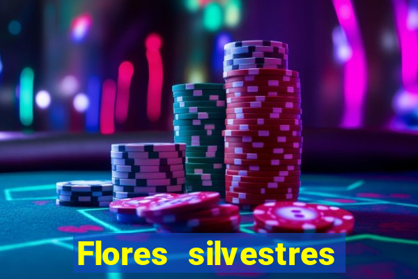 Flores silvestres brasileiras 25