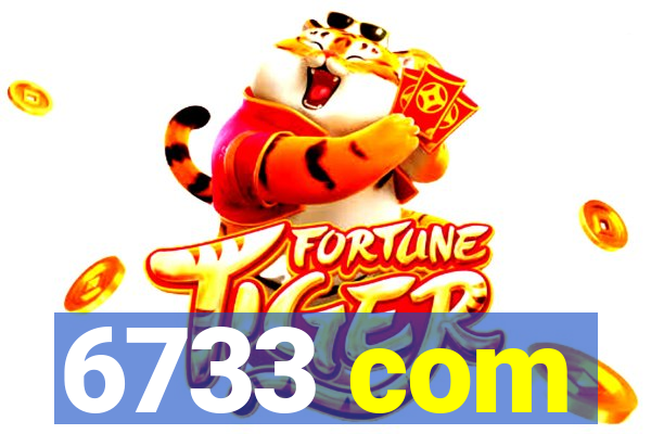 6733 com