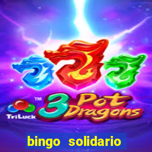 bingo solidario como organizar