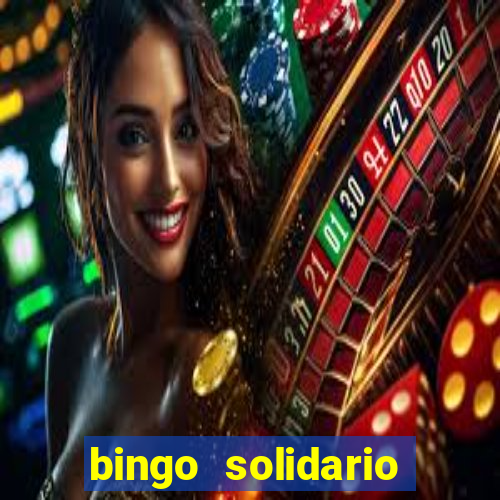 bingo solidario como organizar