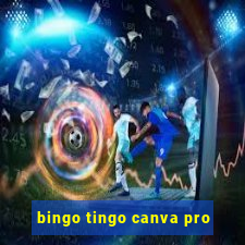 bingo tingo canva pro