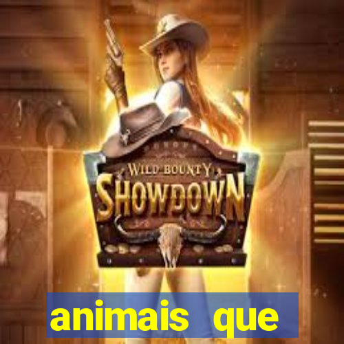 animais que produzem l茫