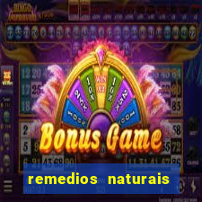 remedios naturais para diabetes