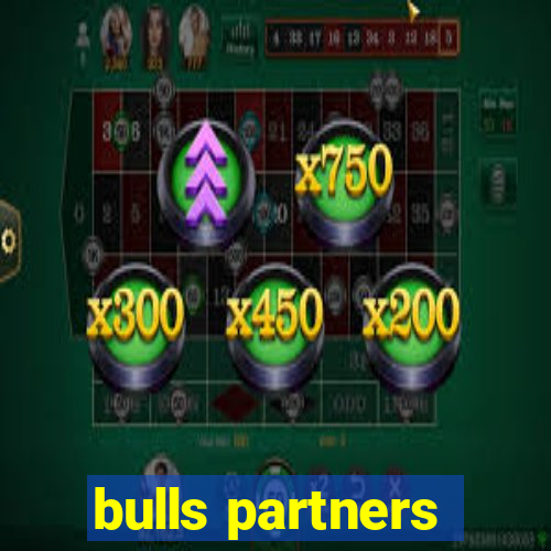 bulls partners