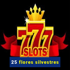 25 flores silvestres