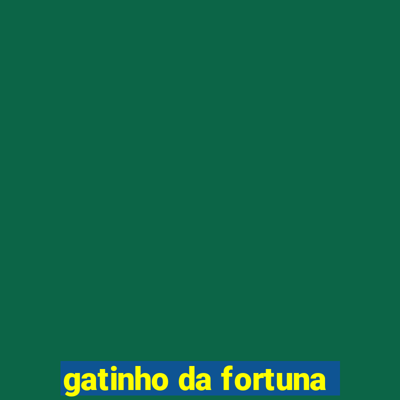 gatinho da fortuna