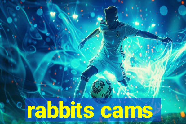 rabbits cams