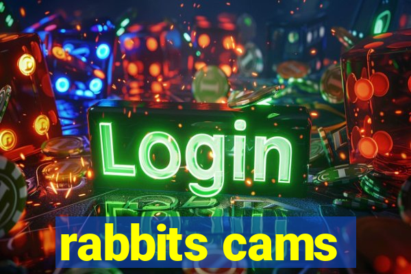 rabbits cams