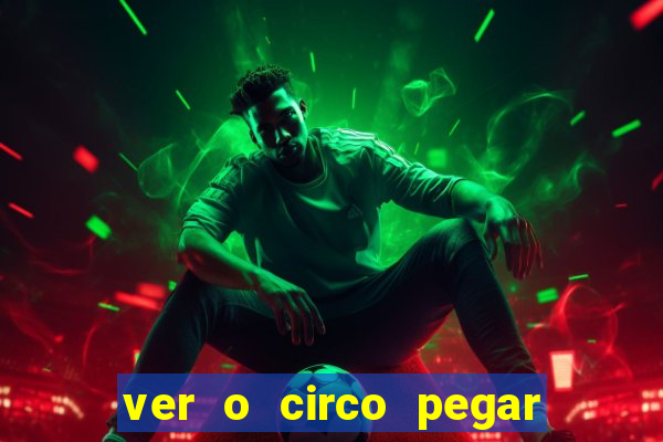 ver o circo pegar fogo significado