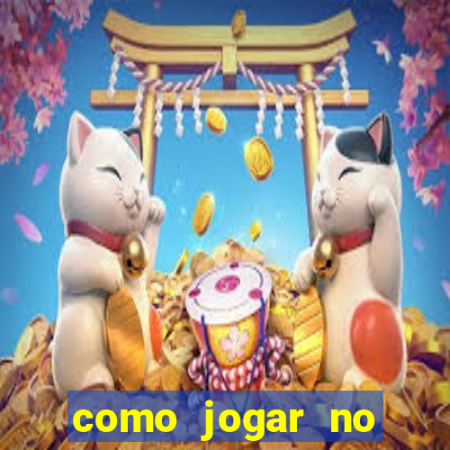 como jogar no dragon tiger