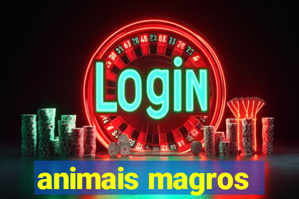 animais magros