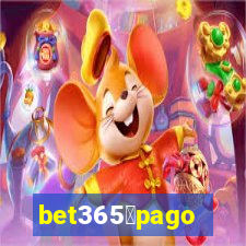 bet365茅pago