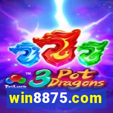 win8875.com