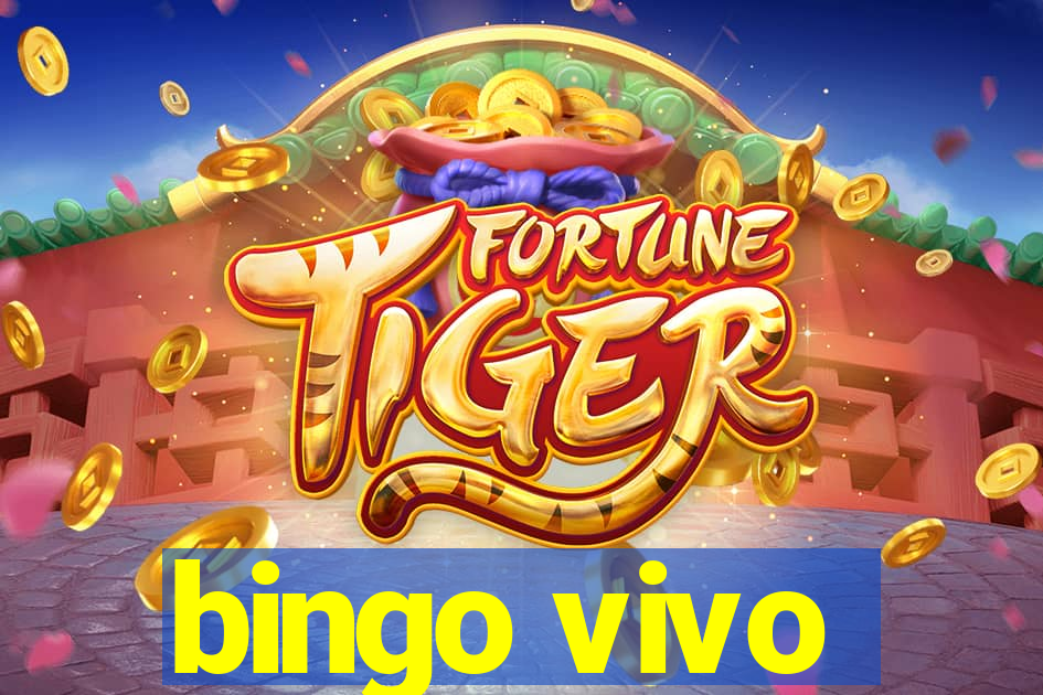 bingo vivo