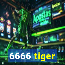 6666 tiger