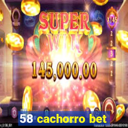 58 cachorro bet