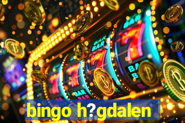 bingo h?gdalen