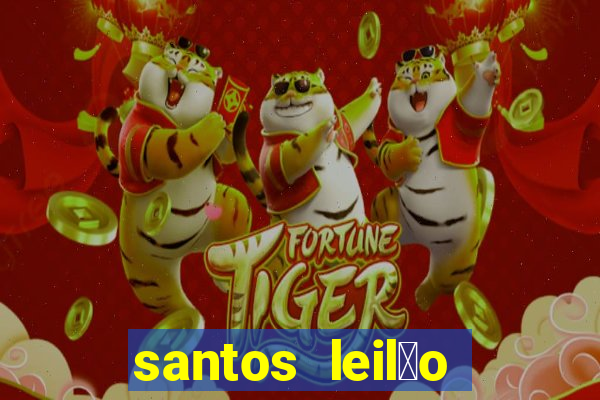 santos leil茫o passo fundo