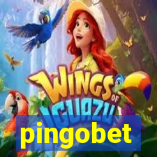 pingobet