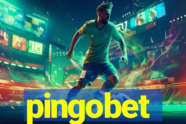 pingobet