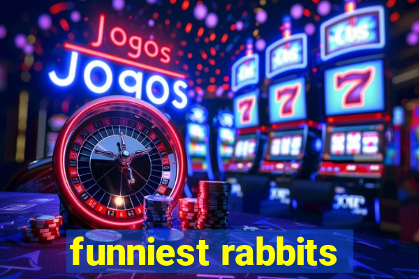 funniest rabbits