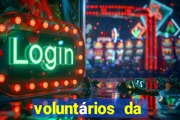 voluntários da pátria 344