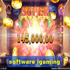 software igaming